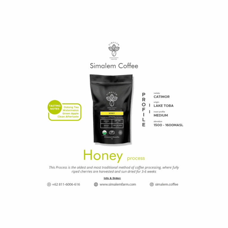 Untitled design (12)