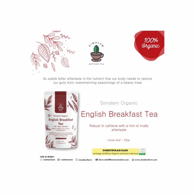 Untitled design (34)