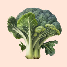 Sayuran & Tanaman Herbal