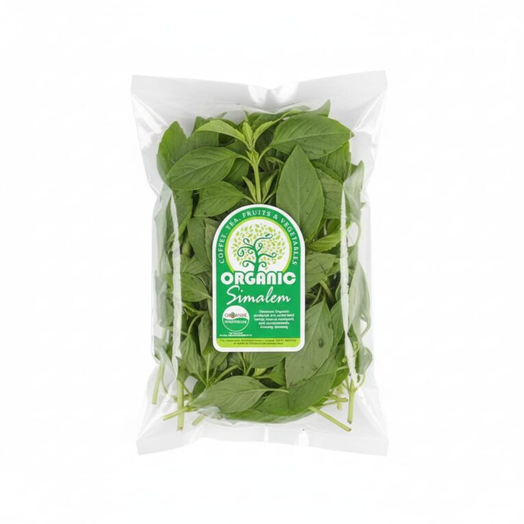 WhatsApp Image 2025-09-21 at 21.13.29 (1)